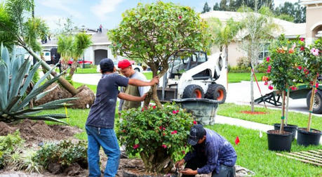 Landscaper Jobs: A Practical Guide for U.S. Job Seekers